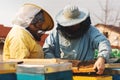 Family beekeepers. Beekeeper Inspecting Bee Hive after winter