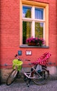 Family bicycle resting on the front of a potsdam house