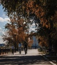 Family on bicycles in autumn, cycling outdoors