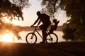 Family bikes - father and son