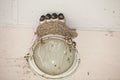 A family of birds swallows sit together in a nest, Royalty Free Stock Photo