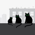 Family black cats sitting on the roof Royalty Free Stock Photo