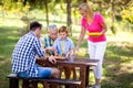 Family have break in nature play chess,