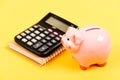 Family budget management. bookkeeping. financial report. piggy bank with calculator. Moneybox. business start up Royalty Free Stock Photo