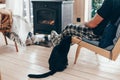 Family with cat relaxing by the fire place Royalty Free Stock Photo