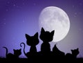 Family of cats on the roof in the moonlight