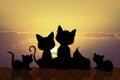 Family of cats silhouette at sunset