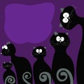 Family cats tail is black with gray on the violet background. Royalty Free Stock Photo