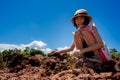 Family children planting vetiver grass tree on ground on blue sky background Royalty Free Stock Photo