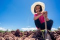 Family children planting vetiver grass tree on ground on blue sky background Royalty Free Stock Photo