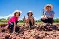 Family children planting vetiver grass tree on ground on blue sky background Royalty Free Stock Photo