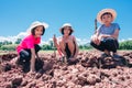 Family children planting vetiver grass tree on ground on blue sky background Royalty Free Stock Photo