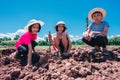 Family children planting vetiver grass tree on ground on blue sky background Royalty Free Stock Photo