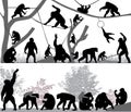 Family of chimpanzee