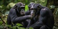 A family of chimpanzees grooming each other in a lush jungle, concept of Social hierarchy, created with Generative AI