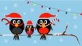 family of Christmas birds in red hats