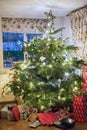 Family Christmas Tree with Presents Royalty Free Stock Photo