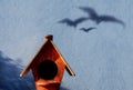 Family Concept. Shadow of Three Birds shading on the Cement Wall