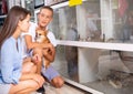 Couple with dog with interest looking at aquarium with mouses Royalty Free Stock Photo