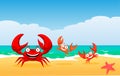 Family of crabs Royalty Free Stock Photo