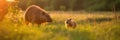 Family of cute capybaras in a field during sunset. AI generative illustration