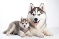 family of cute husky dogs generative ai