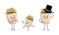 Family of cute indoor plant in a pot characters with joyful emotions
