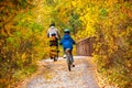 Family cycling in golden autumn park, active father and kids ride bikes, family sport and fitness with children Royalty Free Stock Photo