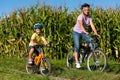 Family is cycling in summer Royalty Free Stock Photo