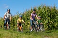 Family is cycling in summer Royalty Free Stock Photo