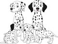 Family of Dalmatian dogs