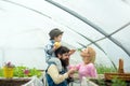 Family day. fmily day holiday on 15 may. fmily day with happy family in greenhouse. love Royalty Free Stock Photo