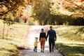 Family day. Happy smiling dad and mom having fun with their child daughter outdoors at autumn park. Couple lifting Royalty Free Stock Photo