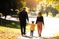 Family day. Rear view of mother and father hold their little child daughter hands walking, having fun outdoors at autumn Royalty Free Stock Photo