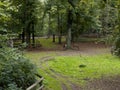 A family of deer walks on the paddock in the zoo