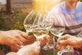 Family of different ages people cheerfully celebrate outdoors with glasses of white wine, proclaim toast People having Royalty Free Stock Photo