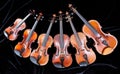 Family of different sized violins on black