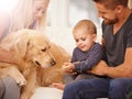 Family, dog and baby with mom, dad and love together on a sofa with treat and bonding with pet. Golden retriever, house Royalty Free Stock Photo