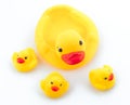 Family duck toy Royalty Free Stock Photo