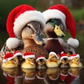 Family of ducks and ducklings in a pond wearing christmas hats generative ai