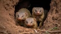 A family of dwarf mongooses nestled in a hole created with Generative AI