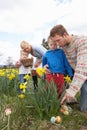 Family On Easter Egg Hunt In Daffodil Field Royalty Free Stock Photo