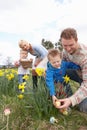 Family On Easter Egg Hunt In Daffodil Field Royalty Free Stock Photo