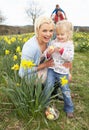 Family On Easter Egg Hunt In Daffodil Field Royalty Free Stock Photo