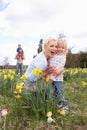 Family On Easter Egg Hunt In Daffodil Field Royalty Free Stock Photo