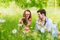 Family eating in summer meadow sitting on grass