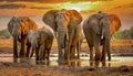 Family of elephants around waterhole,oil painting Royalty Free Stock Photo