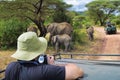 Family of elephants in Lake Manyara National Park, Tanzania, Afr Royalty Free Stock Photo