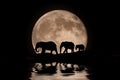 Family of Elephants in the Moonlight Silhouette Royalty Free Stock Photo