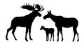 Family Elk male with large horns and with Moose female with cub Elk. Silhouette picture. Animals in wild. Isolated on Royalty Free Stock Photo